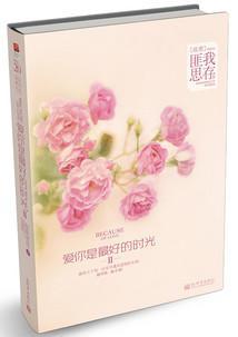 爱你是最好的时光TXT全集封面