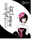 总裁霸爱宠娇妻TXT全集封面