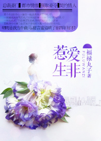 惹爱生非TXT全集封面