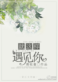 就这样遇见你 作者:蒋牧童TXT全集封面