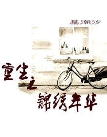 重生之锦绣年华TXT全集封面