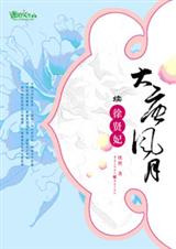 大唐风月续徐贤妃TXT全集封面