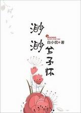 渺渺兮予怀TXT全集封面