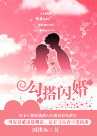 勾搭闪婚TXT全集封面