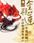 金瓶莲TXT全集封面