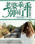 老婆乖乖,别闹了TXT全集封面