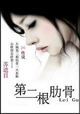 第二根肋骨TXT全集封面