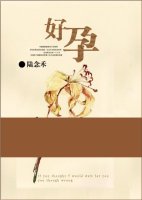 好孕TXT全集封面