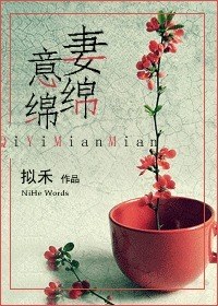 妻意绵绵TXT全集封面