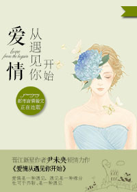 爱情,从遇见你开始TXT全集封面