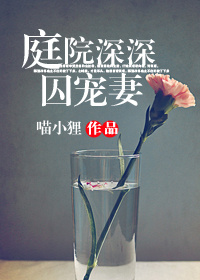 庭院深深囚宠妻TXT全集封面