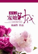 重生之宠她时代TXT全集封面