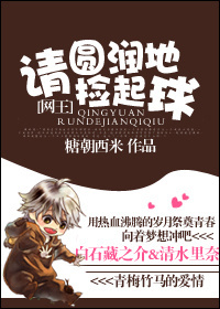 请圆润地捡起球TXT全集封面