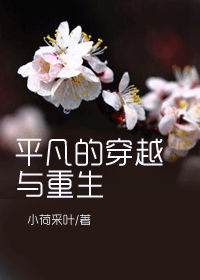平凡的穿越与重生TXT全集封面