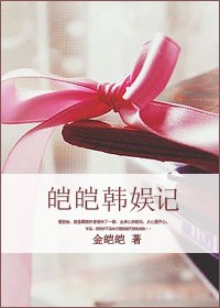 皑皑韩娱记TXT全集封面