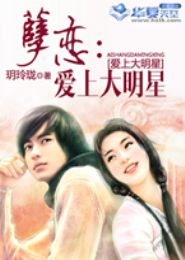 孽恋:爱上大明星TXT全集封面