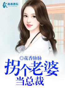 拐个老婆当总裁TXT全集封面
