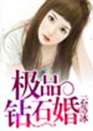 极品钻石婚TXT全集封面