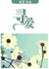 寻爱TXT全集封面