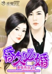 昏久必婚TXT全集封面