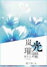 重生之岚光璀璨TXT全集封面