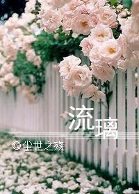 流璃TXT全集封面
