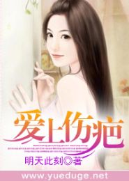 爱上伤疤TXT全集封面