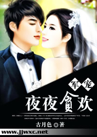 军宠,夜夜贪欢TXT全集封面
