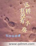有没有这样一个你TXT全集封面