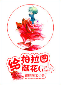给柏拉图献花TXT全集封面