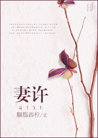妻许TXT全集封面