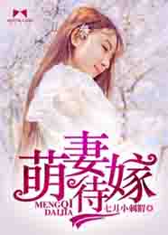 萌妻待嫁TXT全集封面