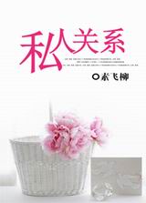 私人关系TXT全集封面
