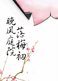 晚风庭院落梅初TXT全集封面