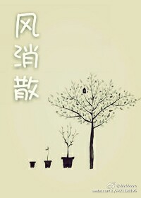 今夕景明-风消散TXT全集封面