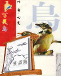 画眉鸟TXT全集封面