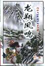 龙翔凤鸣TXT全集封面