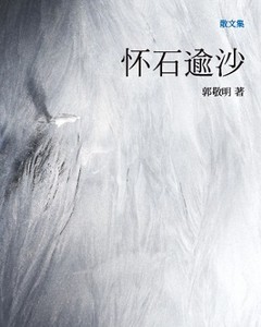 怀石逾沙TXT全集封面