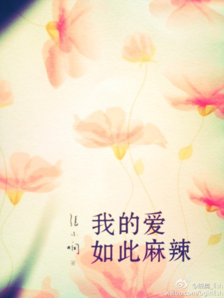 我的爱如此麻辣TXT全集封面