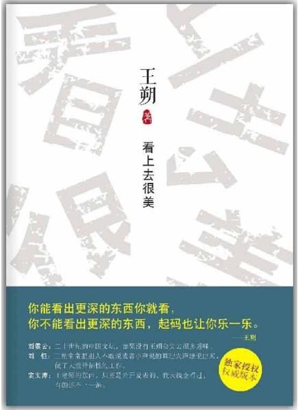 看上去很美TXT全集封面