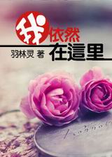 我依然在这里TXT全集封面