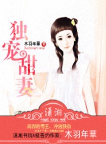 独宠甜妻TXT全集封面
