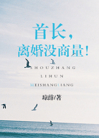 首长,离婚没商量!TXT全集封面
