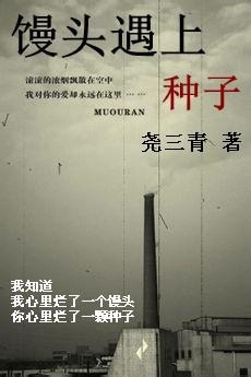 馒头遇上种子TXT全集封面