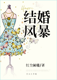 结婚风暴TXT全集封面