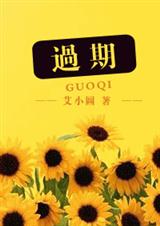 过期(网络版完)TXT全集封面