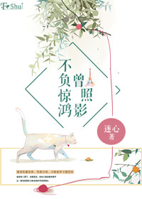 不负惊鸿曾照影TXT全集封面