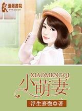 小萌妻TXT全集封面