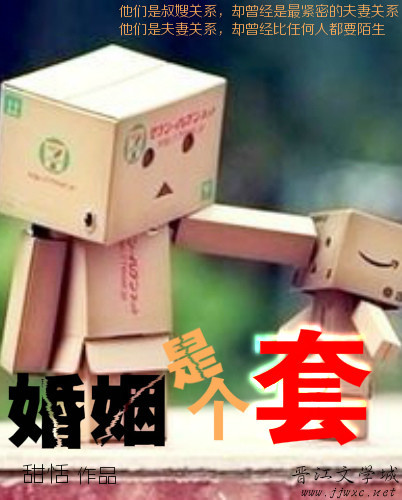 婚姻是个套TXT全集封面
