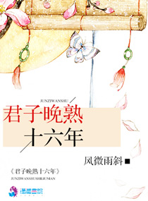 君子晚熟十六年TXT全集封面